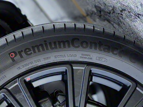 2025�� ������