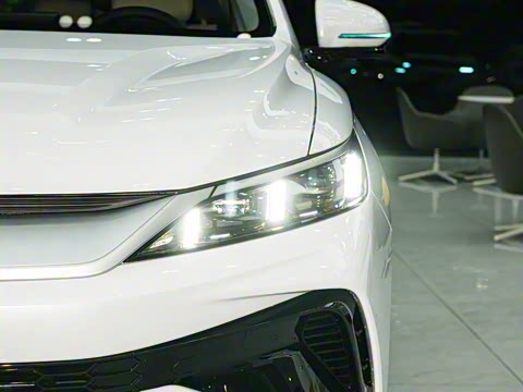 2026�� DM-i 220KM׿Խ��