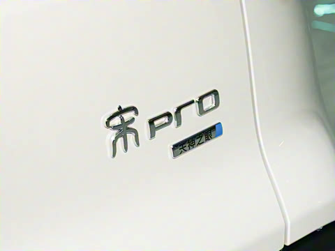 2026�� DM-i 220KM׿Խ��