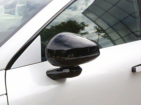 2026�� ������������Plus