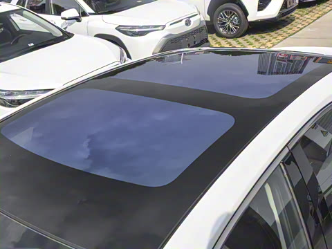 2026�� ˫�� 2.5HG ����