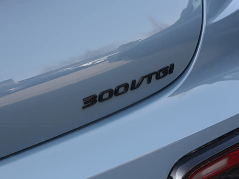 2026�� 1.5T 300 DCT���Ű�