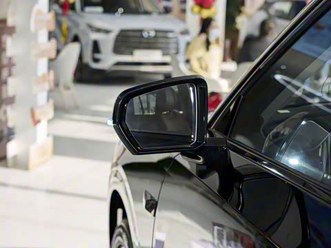 2025�� Ǭ�� Max 5��