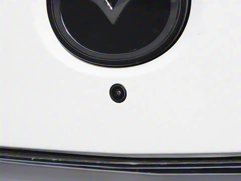 2025�� ����600 Max