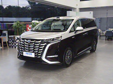 2025�� DM-i ����������