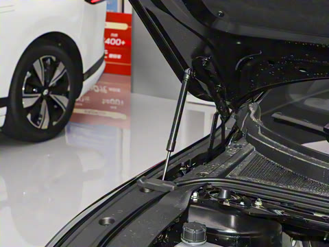 2026�� �����������̰� 310�콢��