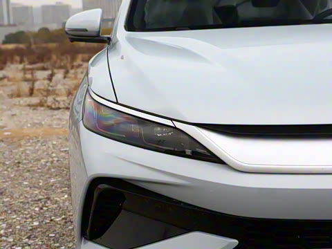 2026�� DM-i 133KM��ȡ��