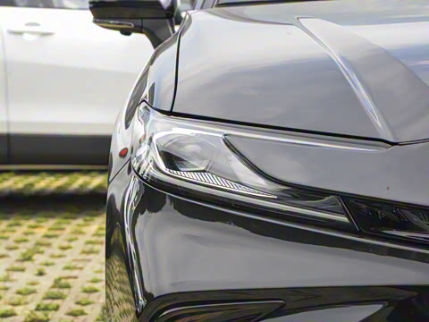 2026�� ˫�� 2.5HXS �˶�Plus��