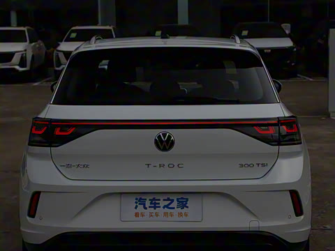 2026�� 300TSI DSG���������