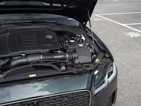 2025�� 2.0T P250 ��������������