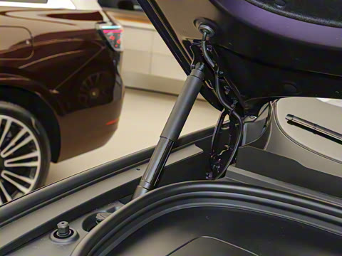 2025�� ���� Max+ ������������ 