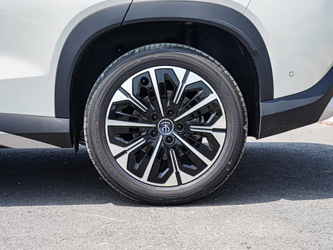 2026�� DM-i 310KM ��Խ��