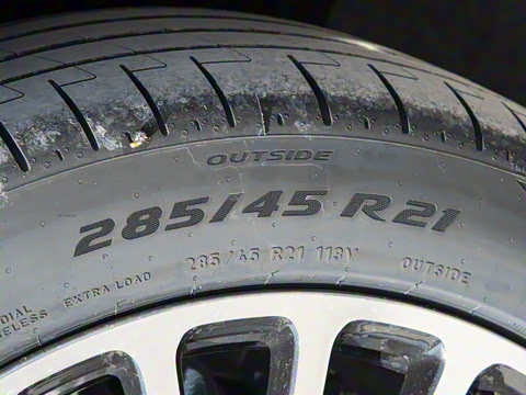 2025�� ���� Max+ ������������ 