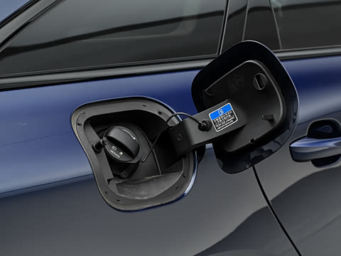 2026�� 205km ������ 