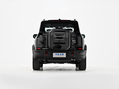 2026�� 2.0TD XWD ��Խ