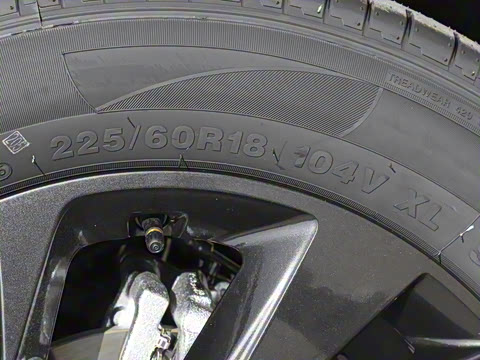 2025�� 518�����͹ھ���