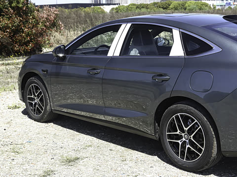 2026�� DM-i 210KM��Խ��