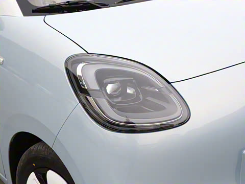 2025�� ���Ű� 301km ����+��