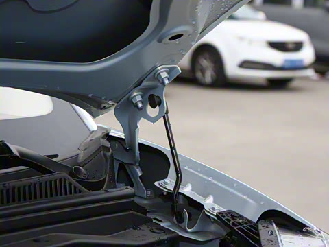 2025�� ���Ű� 301km ����+��