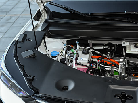 2026�� 650 ���װ�