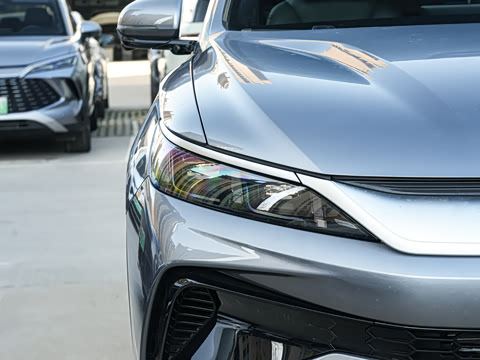 2026�� DM-i 220KM��Խ��