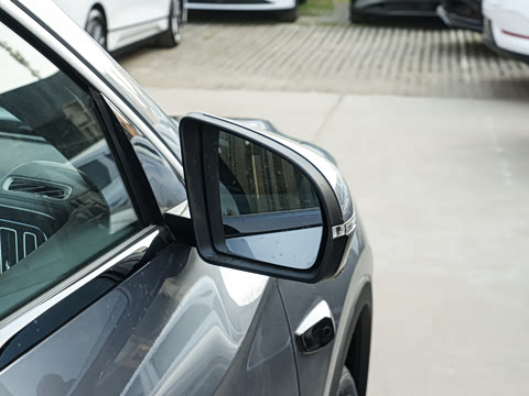 2026�� DM-i 220KM��Խ��