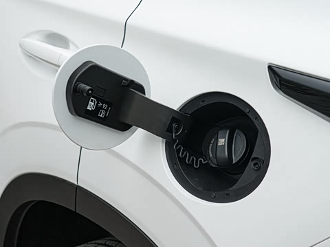 2026�� �˶������