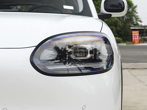 2026�� 310������