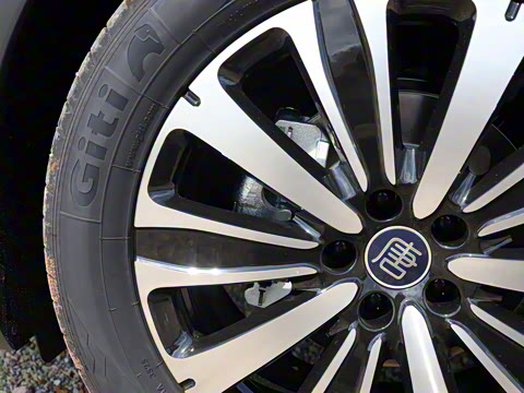 2025�� �Ǽݰ� DM-i 175KM �����