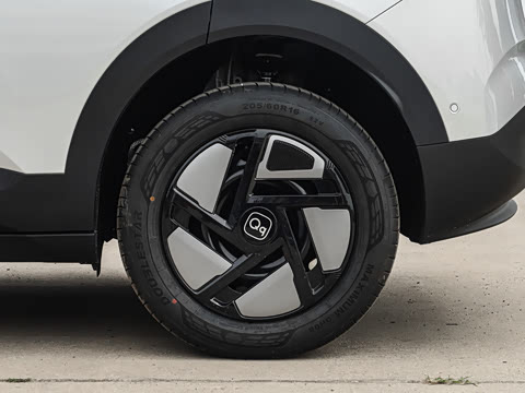 2026�� 310������
