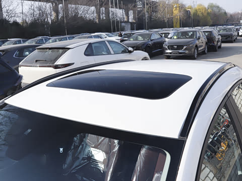 2025�� 2.0L �Զ�������