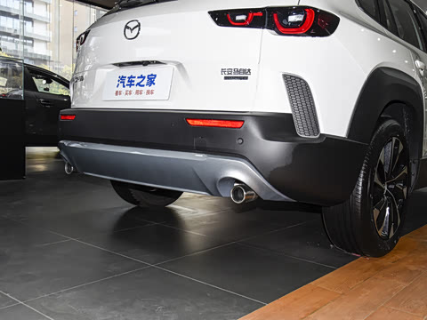 2026�� 2.5L ���а�