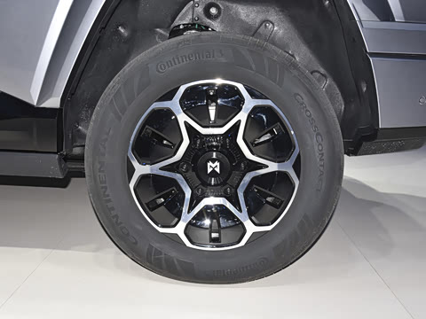 2025�� Max