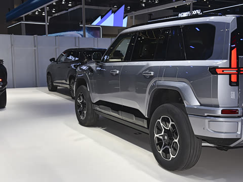 2025�� Max