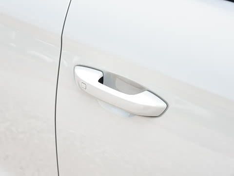 2026�� DM-i 220KM��Խ��