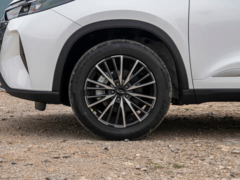 2026�� �ھ��� 290T ���������� 7��