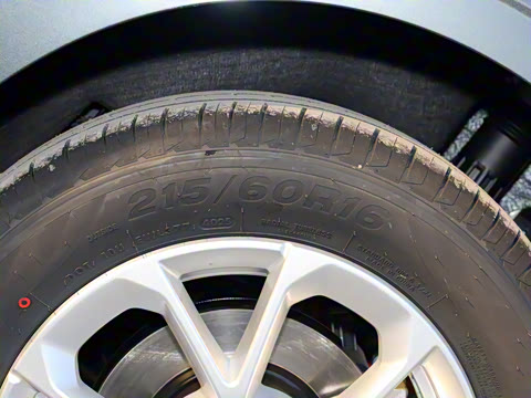 2026�� 125kmԶ����