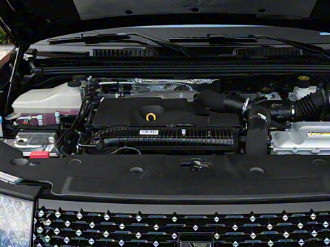 2025�� ������