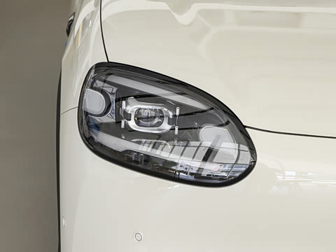 2026�� 310������