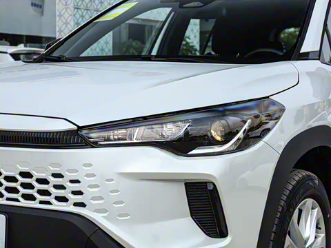 2026�� 2.0L ���ܵ��˫�� �ȷ��