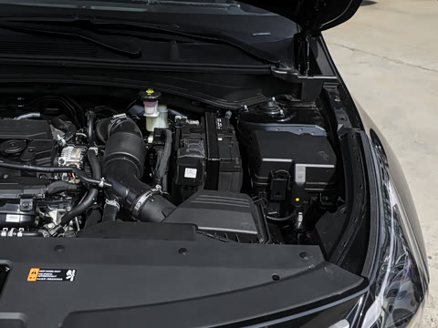 2026�� 1.5T ����������