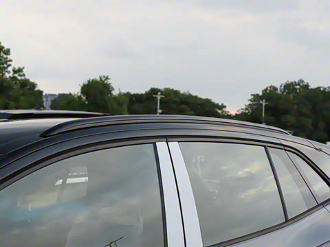 2025�� ������������ʿPRO��