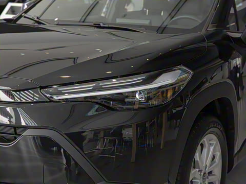 2026�� 2.0L ���ܵ��˫�� ���Ȱ�