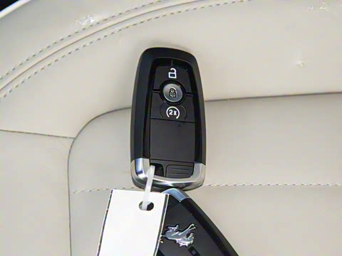 2025�� 2.3T 1966��׼��