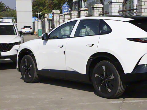 2025�� ����600 Pro