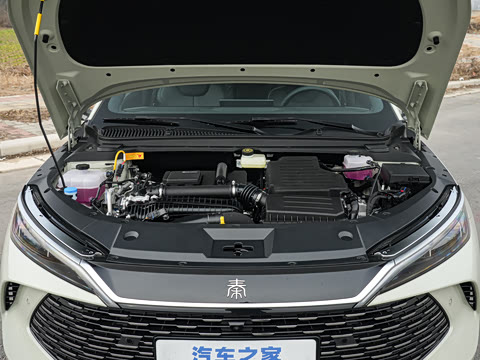 2026�� DM-i 210KM��Խ��