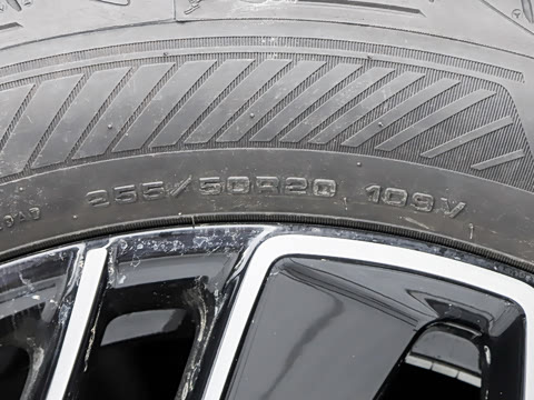 2026�� ����������