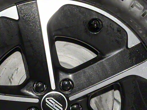 2025�� ���� Max