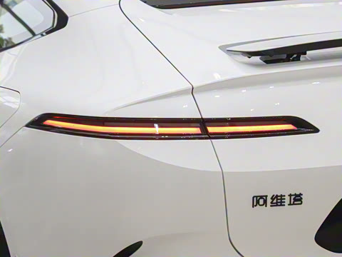 2026�� Max �����