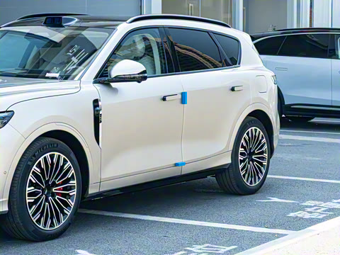 2025�� FREE+ ����Ǭ����